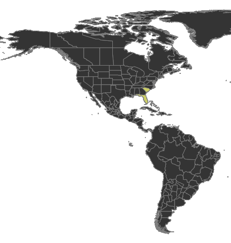 Strumigenys carolinensis Distribution.png