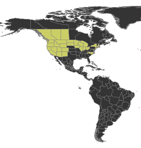 Lasius latipes Distribution.png