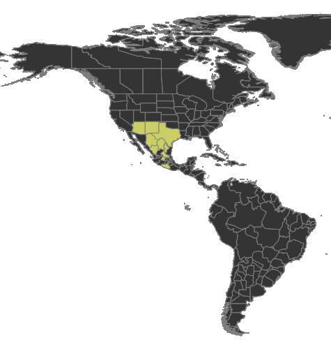 Pogonomyrmex desertorum Distribution.png