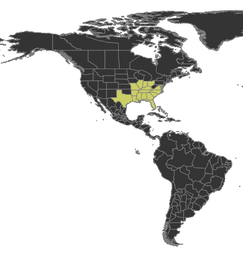 Strumigenys rostrata Distribution.png