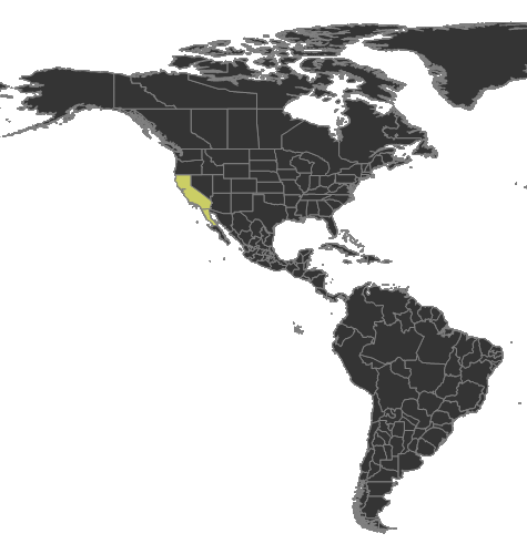 Aphaenogaster patruelis Distribution.png