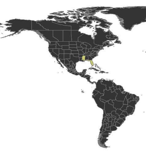 Colobopsis obliqua Distribution.png