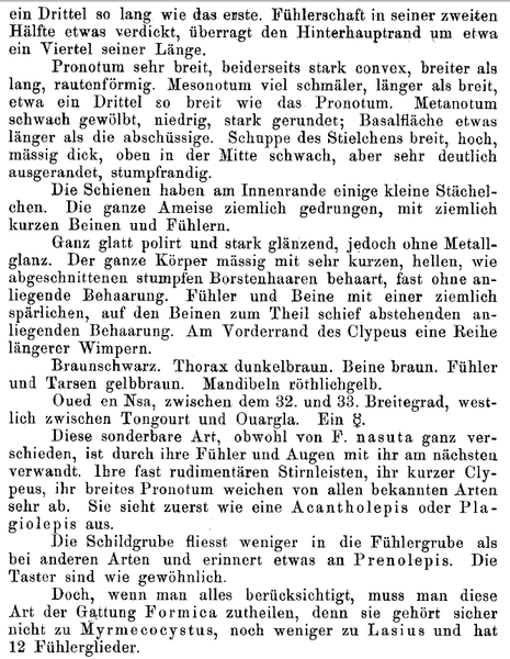 File:Forel 1895 p232 kraussii.png