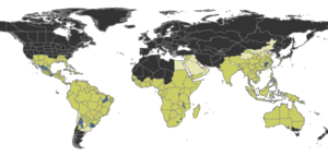 Odontomachus Distribution.png