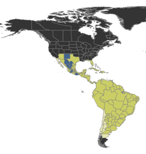 Cephalotes Distribution.png