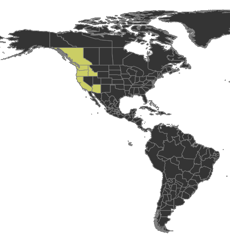 File:Camponotus maccooki Distribution.png