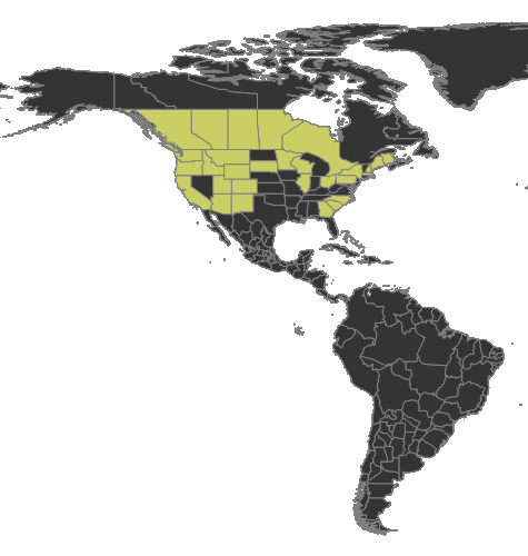 Formica argentea Distribution.png