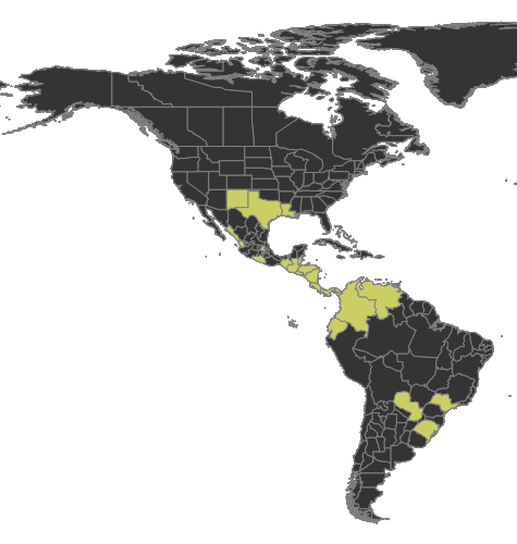 Labidus coecus Distribution.png