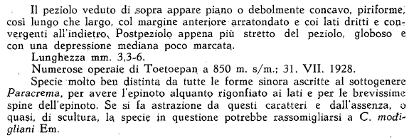 File:Menozzi 1930 vandermeermohri 3.jpg