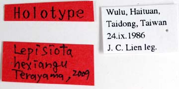 File:Lepisiota hexiangu labels (www.niaes.affrc.go.jp).jpg