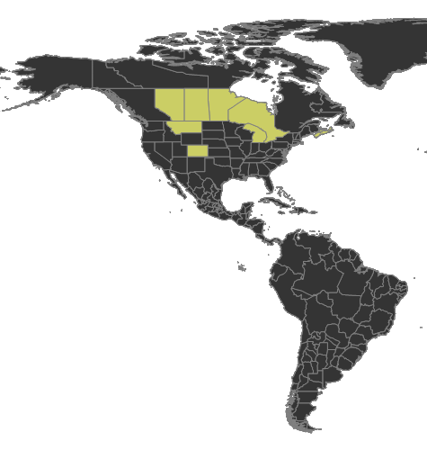 Formica adamsi Distribution.png