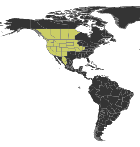 Polyergus mexicanus Distribution.png