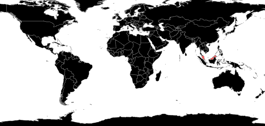 Rostromyrmex Species Richness.png