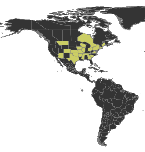 File:Camponotus americanus Distribution.png