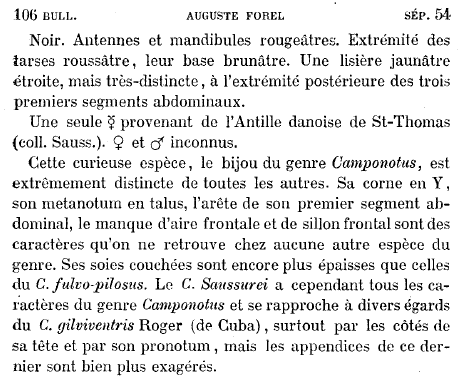 File:Forel 1879 p106.png