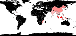 Cerapachys Species Richness.png