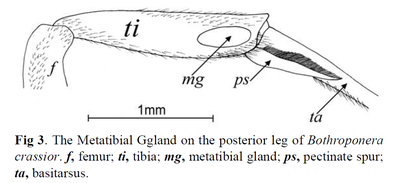 Joma&MacKay2015FIG3.png