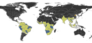 Centromyrmex Distribution.png