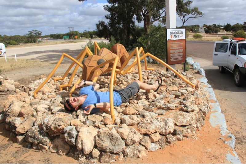 File:Nothomyrmecia sculpture at Poochera, South Australia.jpg