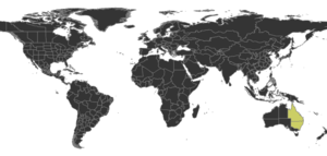 Teratomyrmex Distribution.png