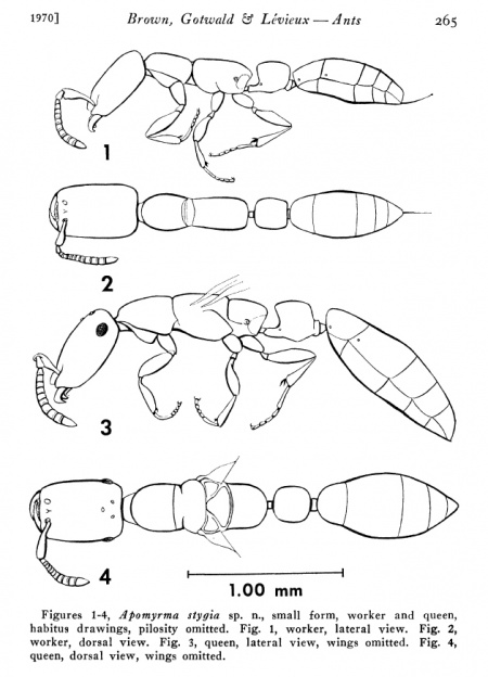 Brown et al 1970 pysche.jpg