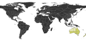 Prolasius Distribution.png