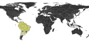 Ochetomyrmex Distribution.png