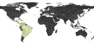 Leptanilloides Distribution.png