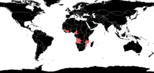 Promyopias Species Richness.png