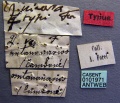 Specimen labels