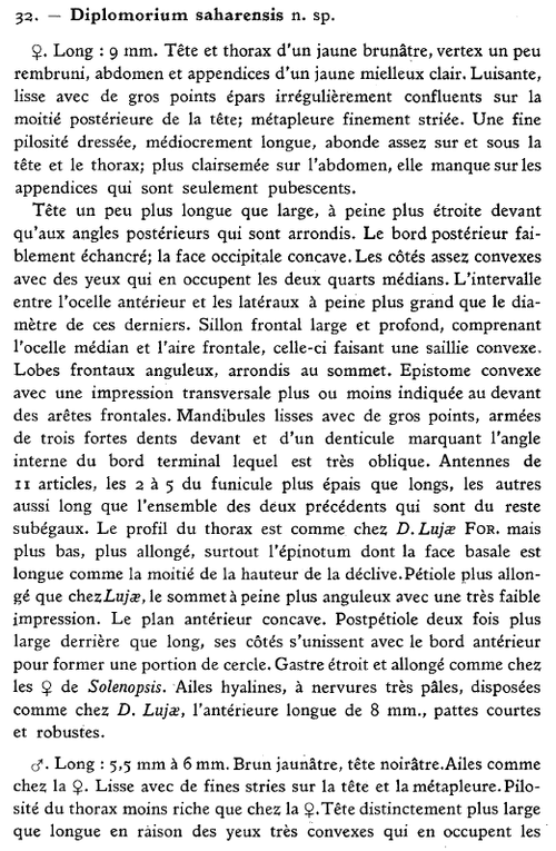 Santschi 1923 p. 278.png