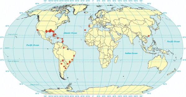 MacGown sylvestrii map.jpg