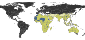 Tetraponera Distribution.png