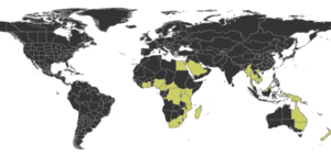 Syllophopsis Distribution.png