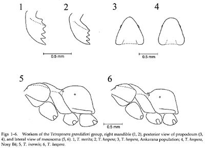 Ward 2009 Fig 1-6.jpg