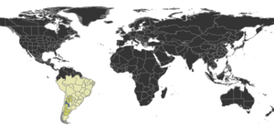 Paramycetophylax Distribution.png