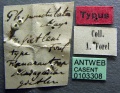 Specimen labels