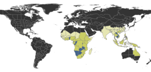 Calyptomyrmex Distribution.png