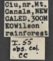 Specimen Label