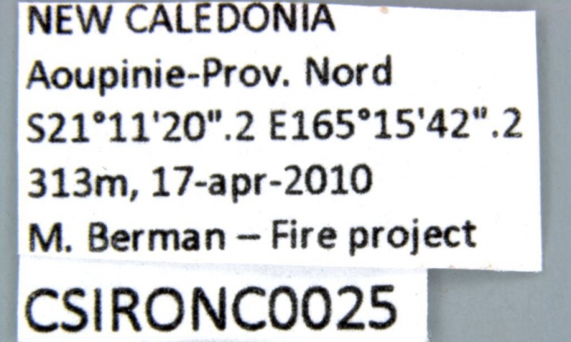 File:CSIRONC0025 label.jpg