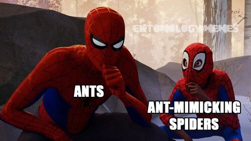 Comic - Spiderman mimic.jpg