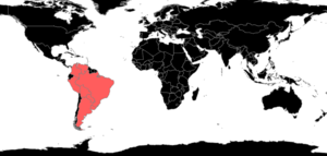 Kalathomyrmex Species Richness.png