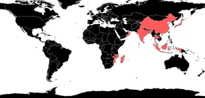 Erromyrma Species Richness.png