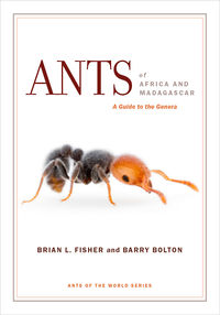 Ants of Africa cover.jpg