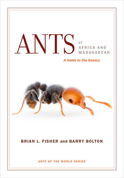 File:Ants of Africa cover.jpg