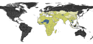 Lepisiota Distribution.png