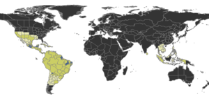 Rogeria Distribution.png