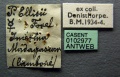 Specimen labels