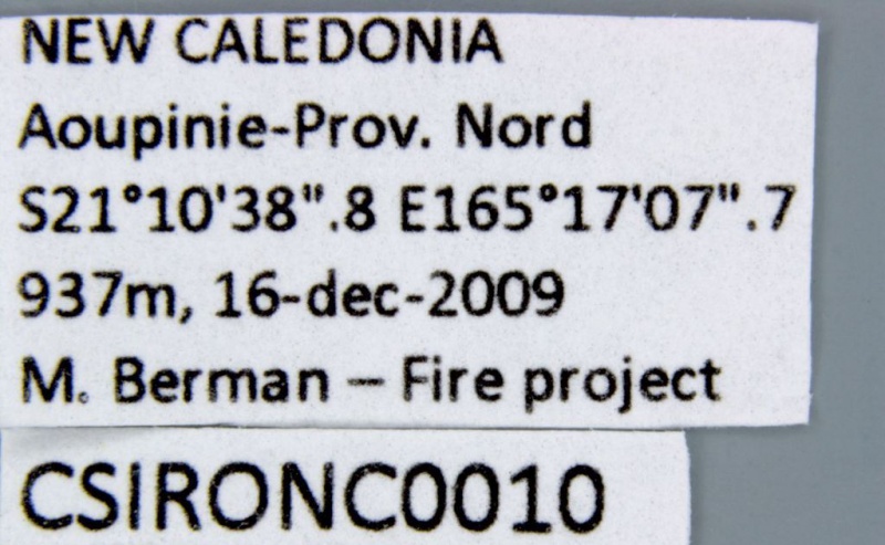 File:CSIRONC0010 label.jpg