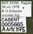 Specimen labels